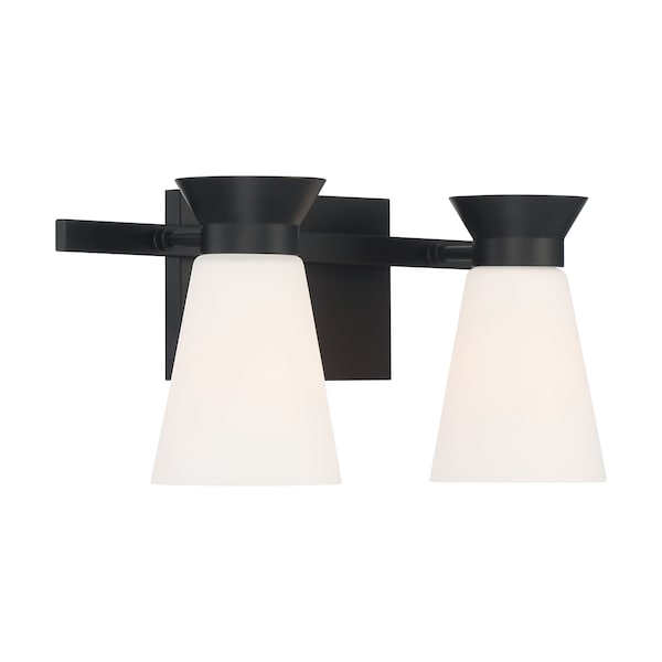 Nuvo Fixture, Vanity, 2-Light, Incandescent, 60W, 120V, A19, Medium Base, Height: 7.13 60/7312 - main